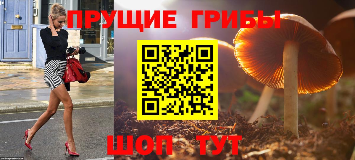 Галлюциногенные грибы ЛСД Тобольск
