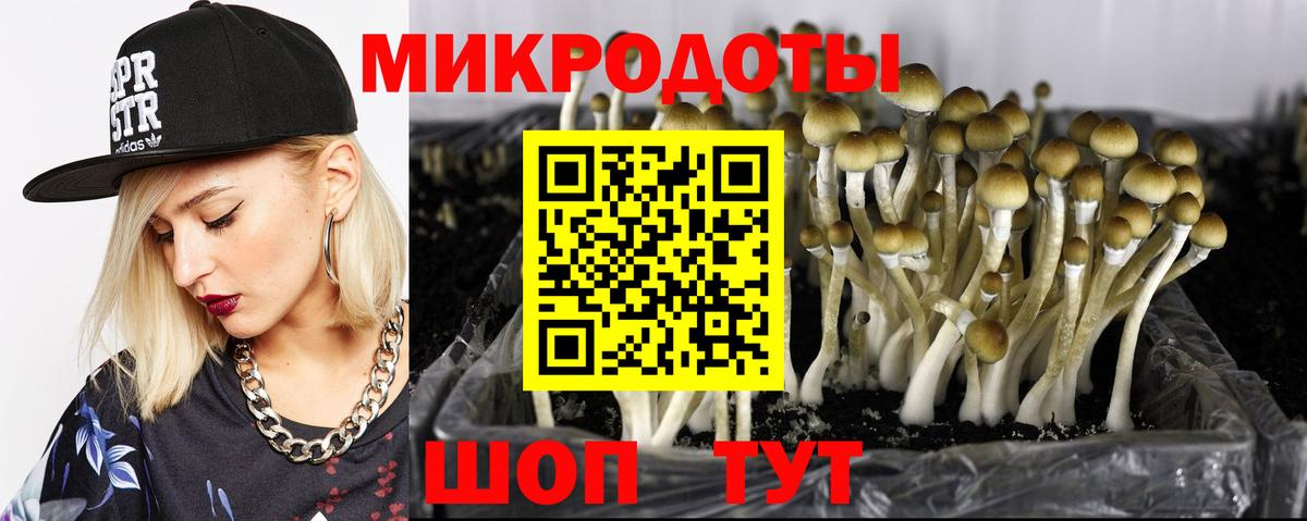 наркота  Вход с VPN  Тобольск  Галлюциногенные грибы Magic Shrooms 
